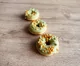 Donut GREEN